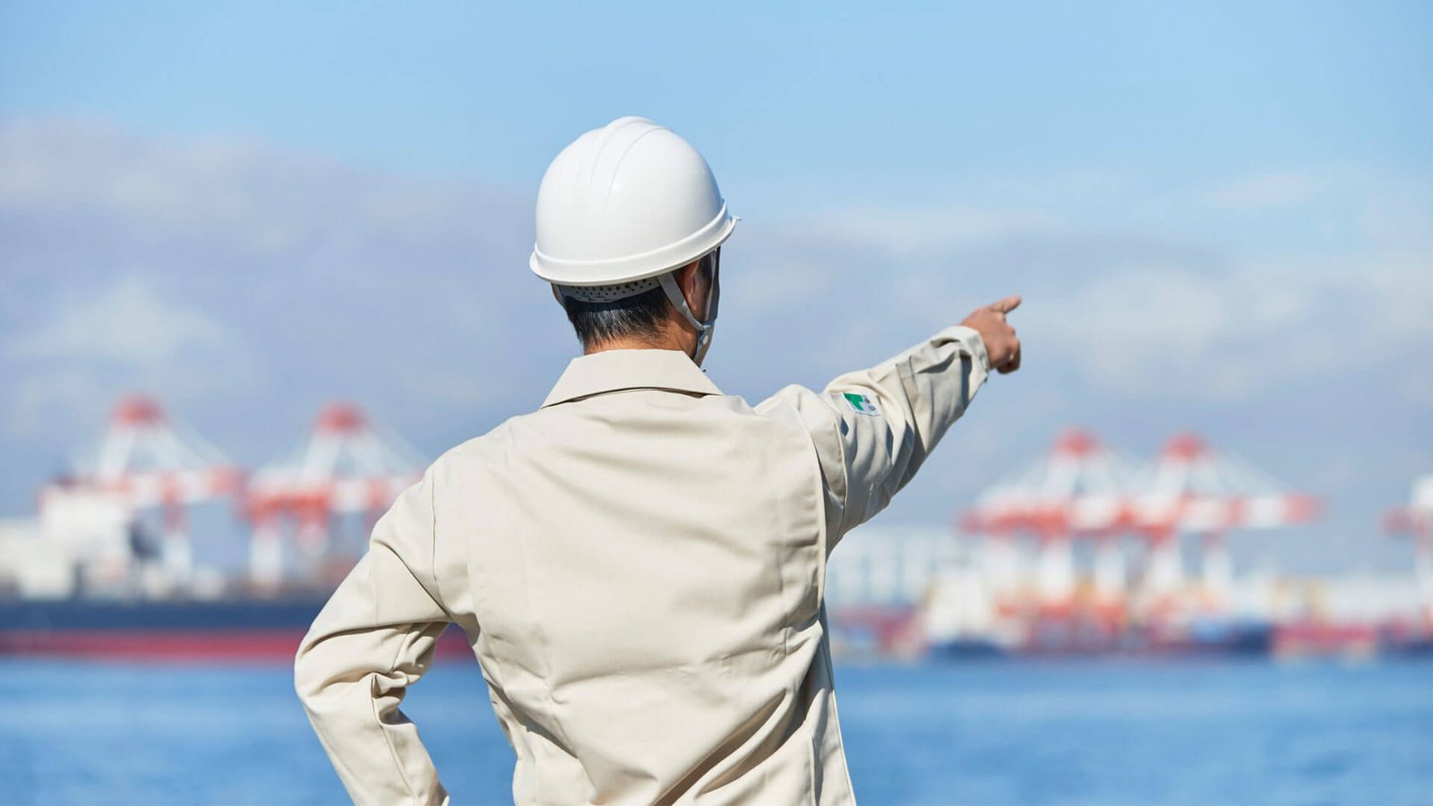 An importer and logistics partner planning a shipment strategy