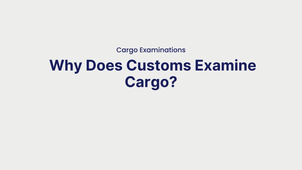 Cargo Examinations Why Does Customs Examine Cargo