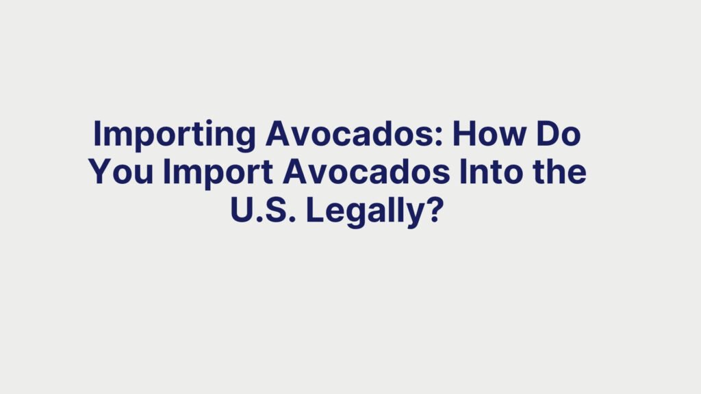 Importing Avocados How Do You Import Avocados Into the U.S. Legally