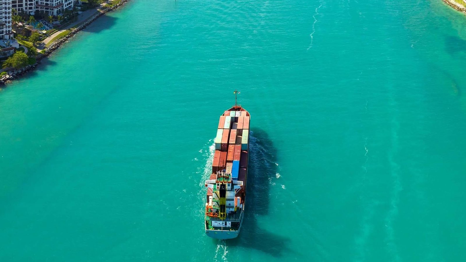 China to USA DDP Container Shipping