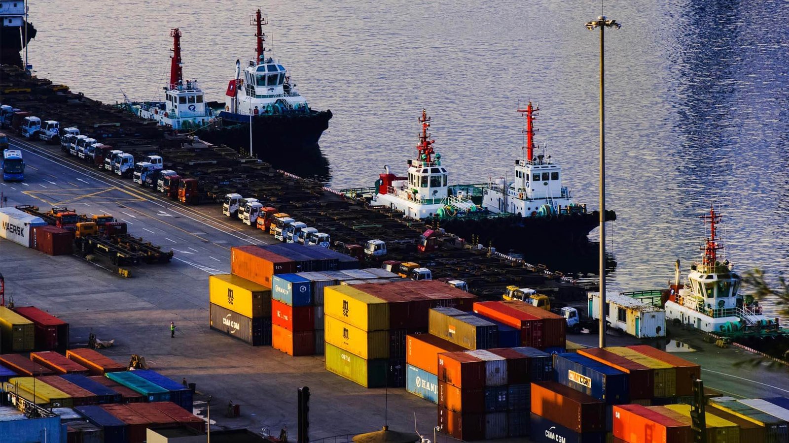 China to USA DDP Container Shipping