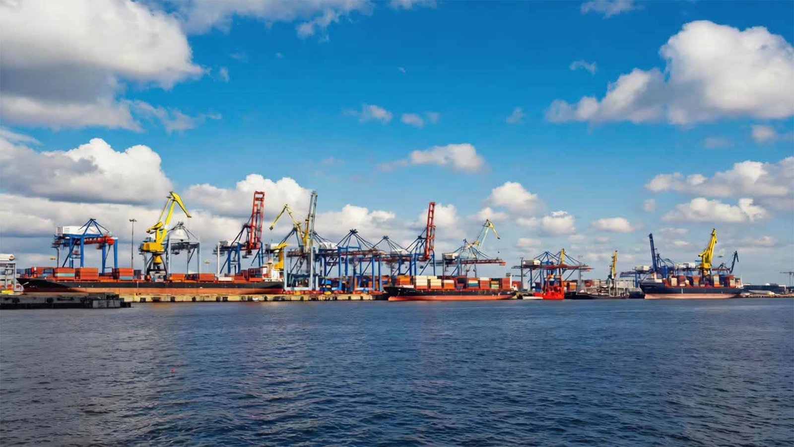 Key Roles in Export Transactions