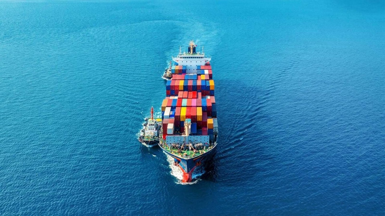 China to USA DDP Container Shipping