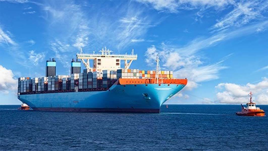 China to USA DDP Container Shipping