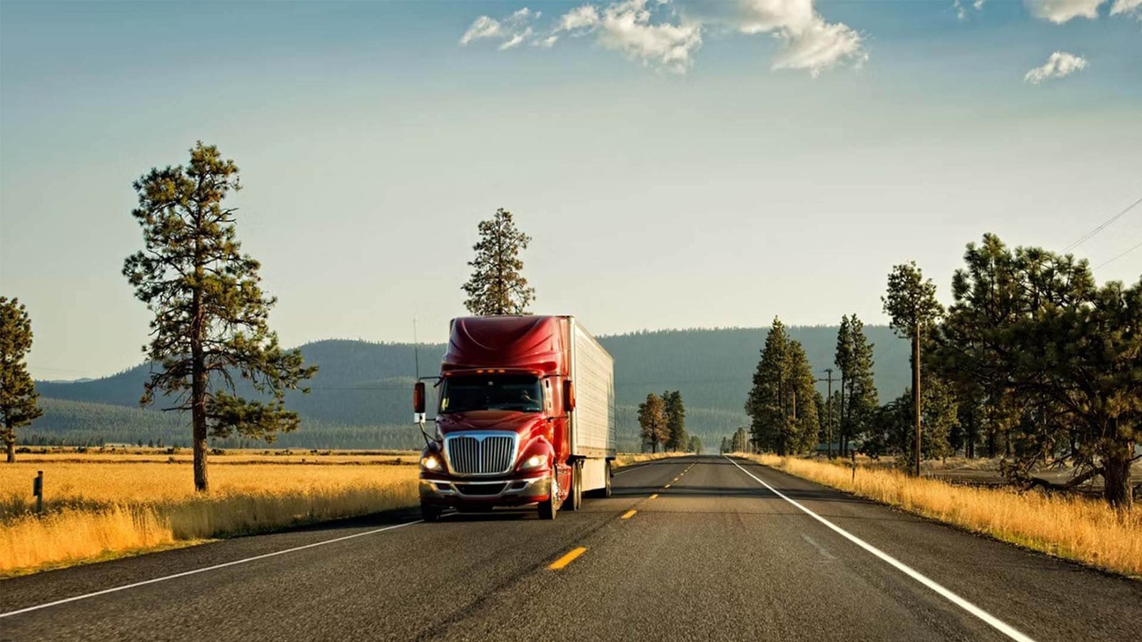 China to USA DDP Container Shipping