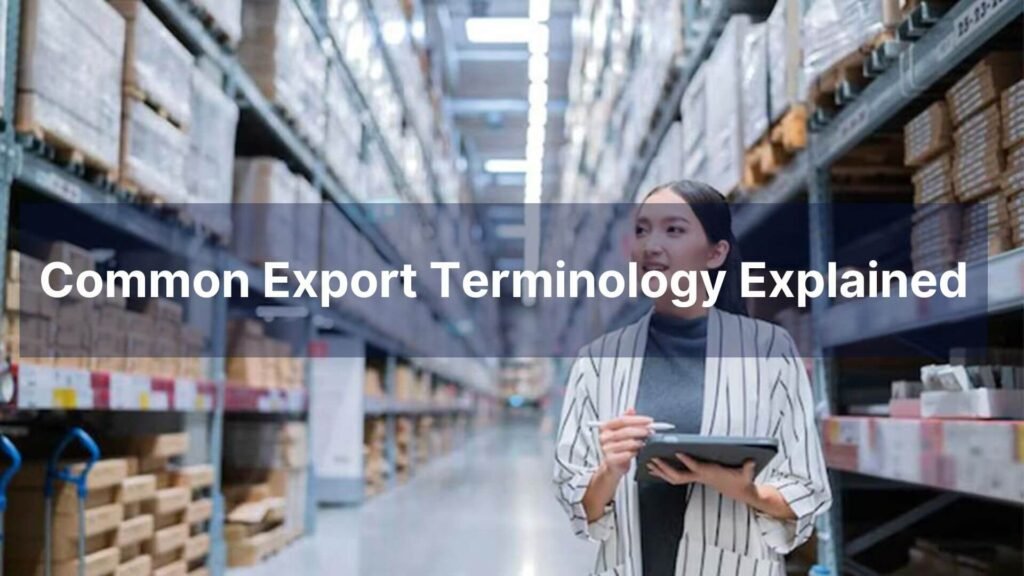 Common Export Terminology Explained