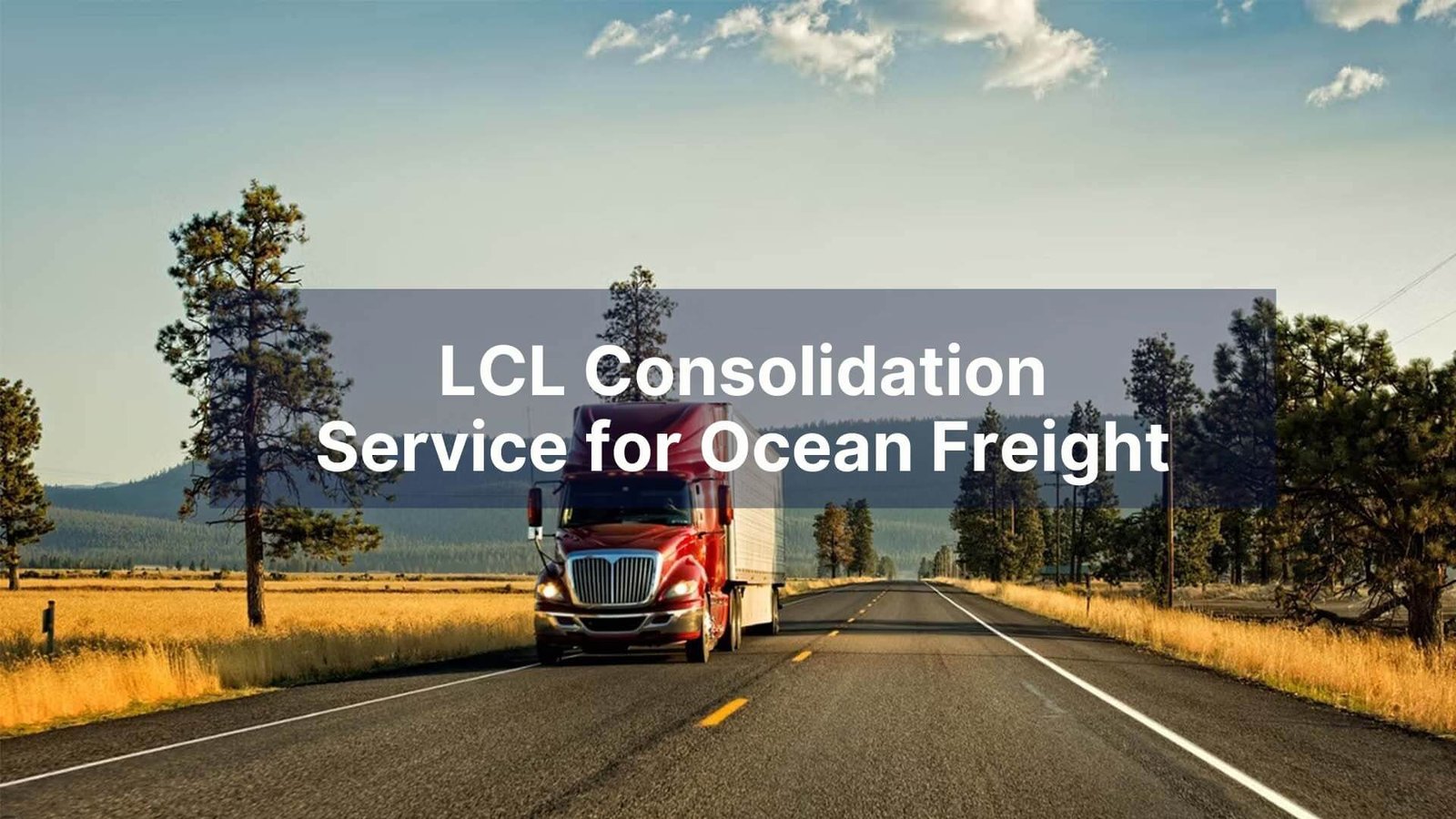 LCL Consolidation Service for Ocean Freight