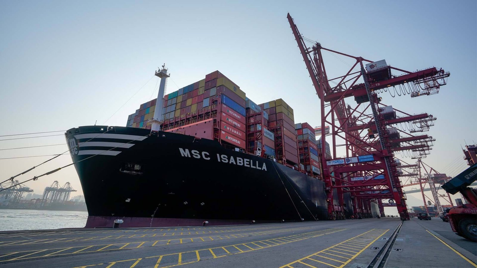 ACE Export Request EIN Reports