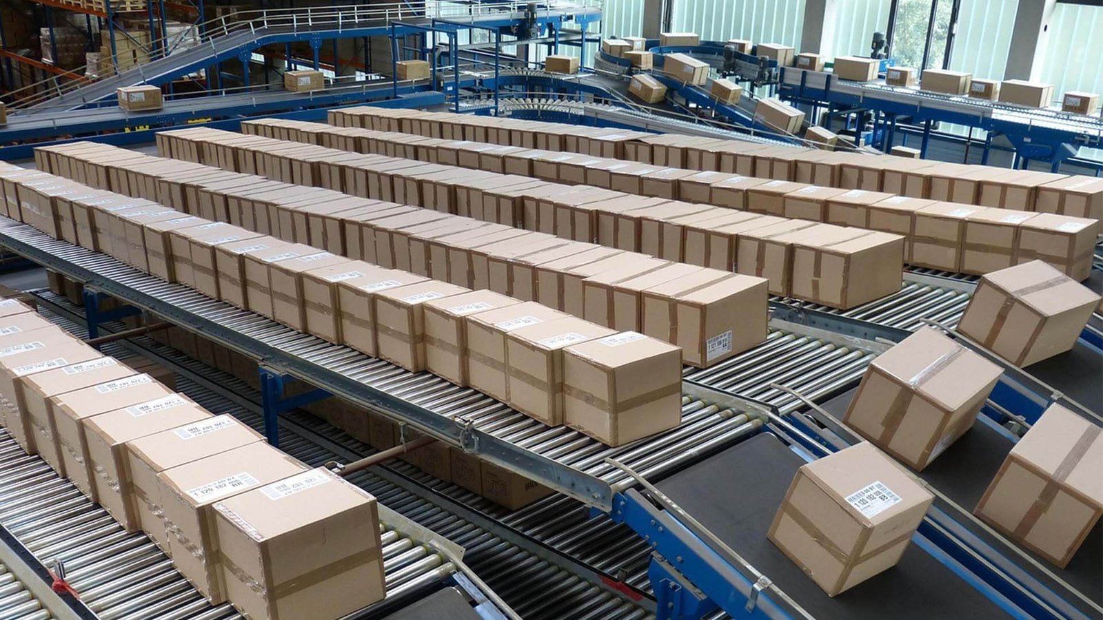 China to USA DDP Container Shipping