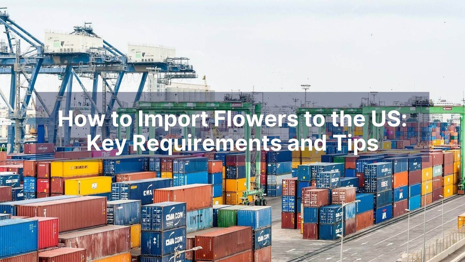 How to Import Flowers to the US Key Requirements and Tips