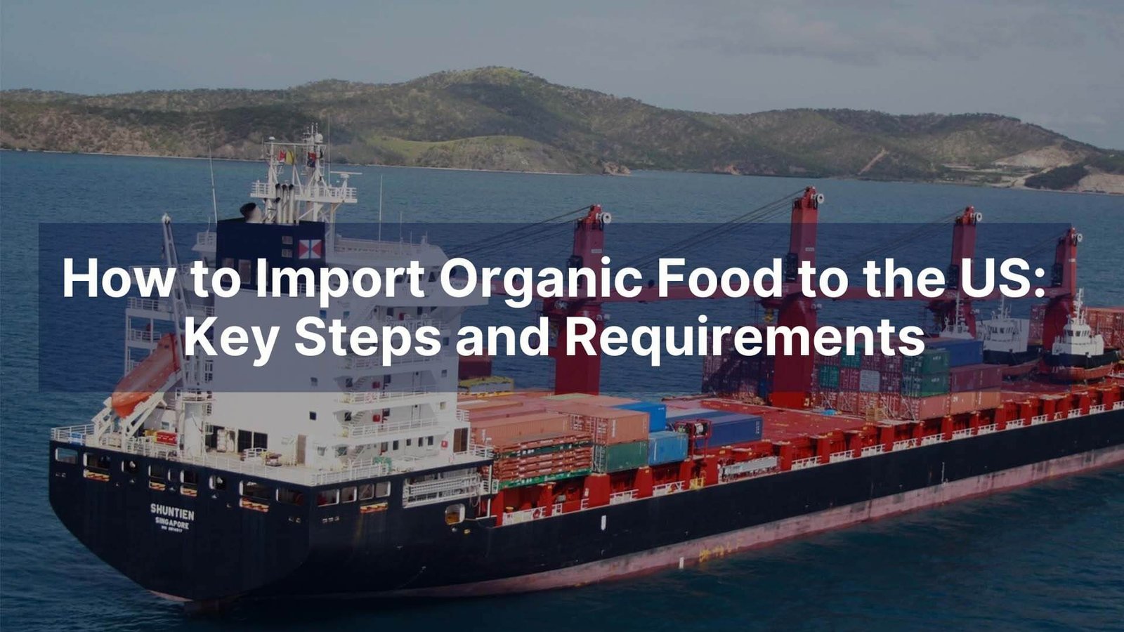 How to Import Organic Food to the US Key Steps and Requirements