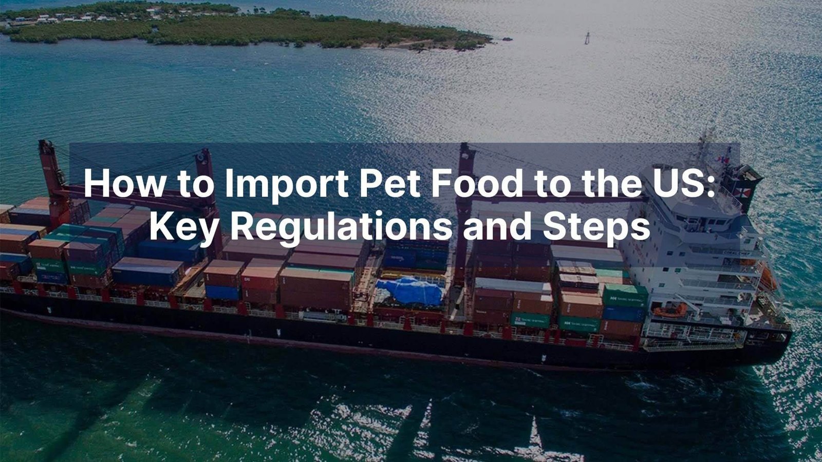 How to Import Pet Food to the US Key Regulations and Steps