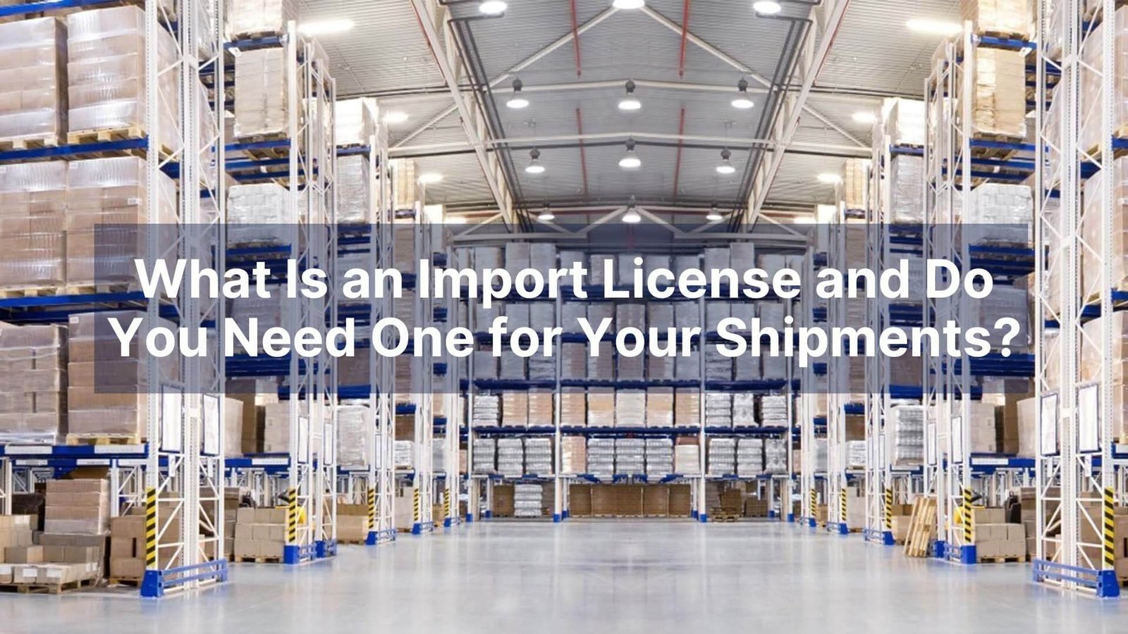 What Is an Import License and Do You Need One for Your Shipments