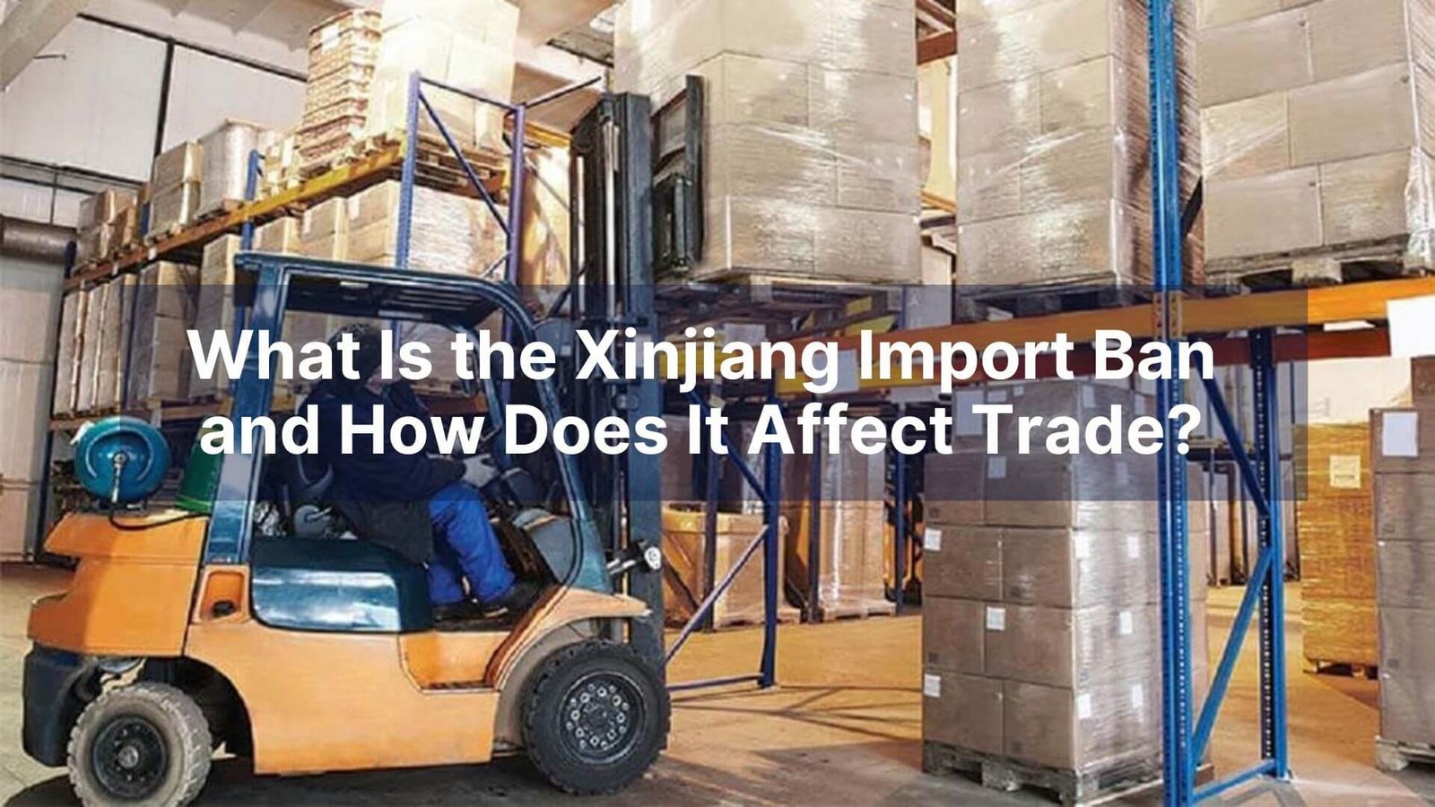 What Is the Xinjiang Import Ban and How Does It Affect Trade