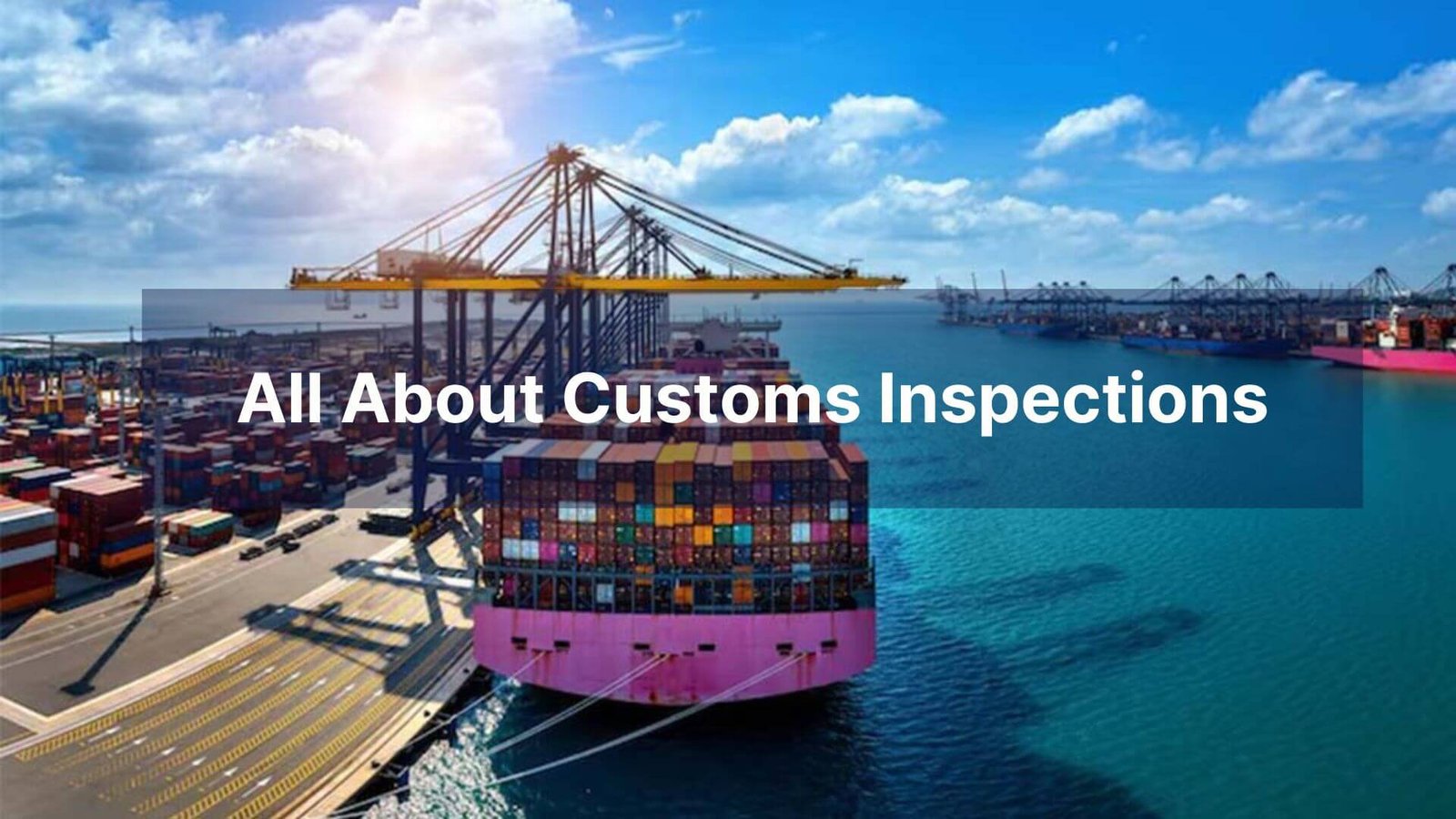 All About Customs Inspections