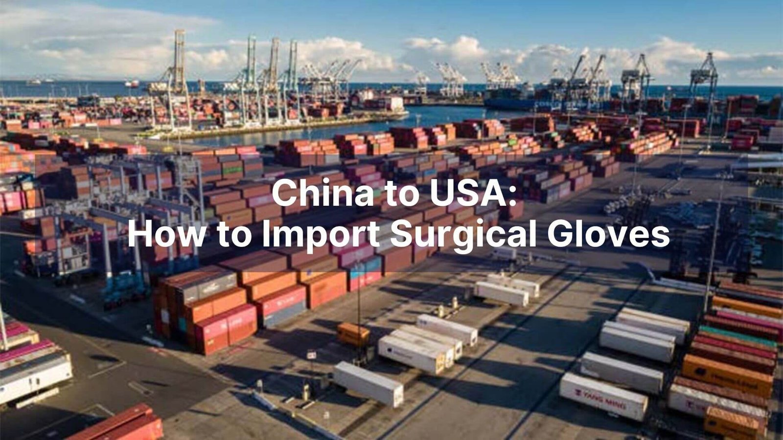 China to USA How to Import Surgical Gloves