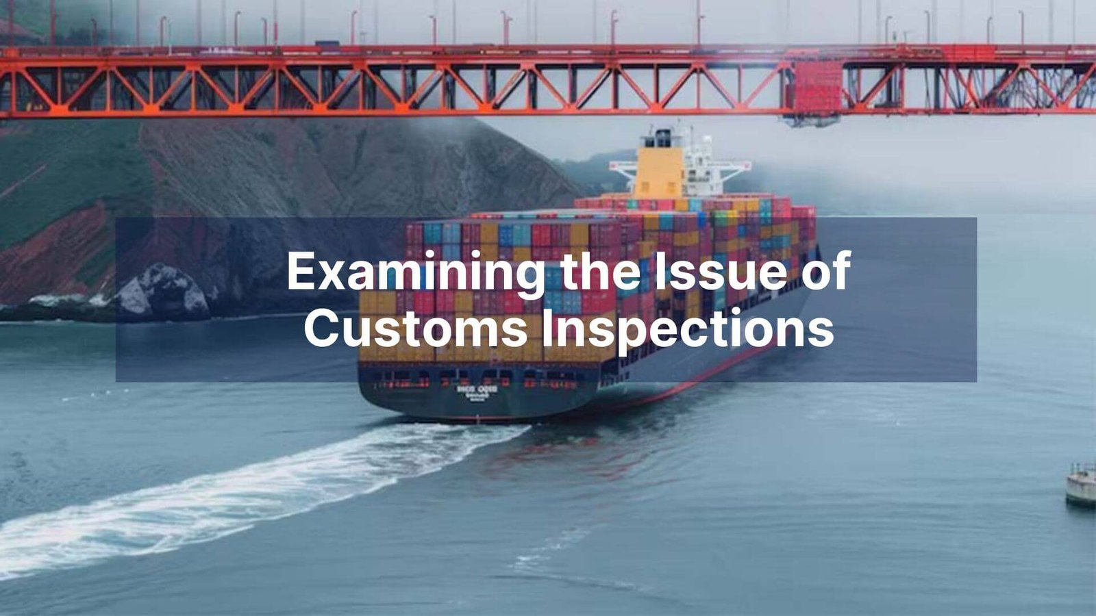 Examining the Issue of Customs Inspections