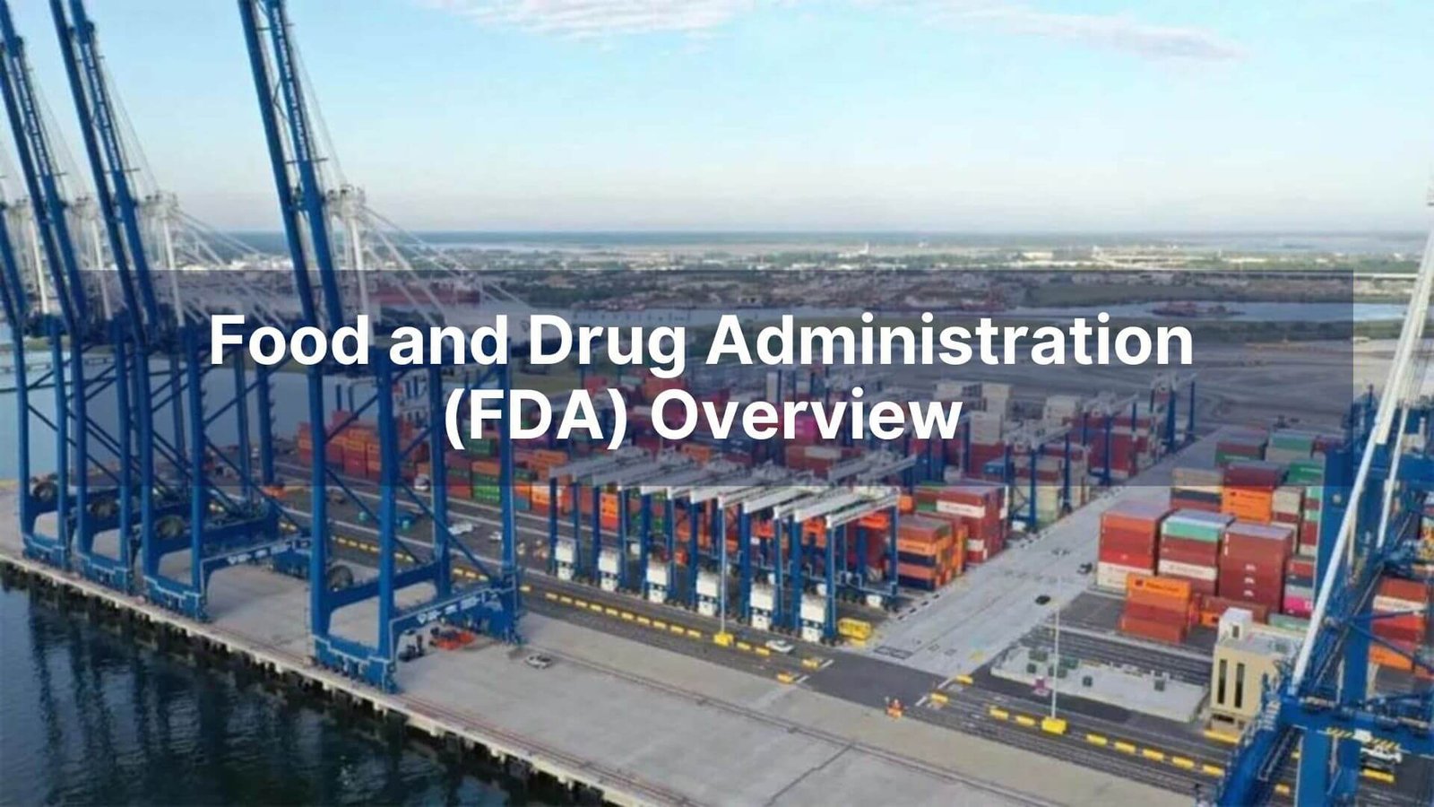 Food and Drug Administration (FDA) Overview