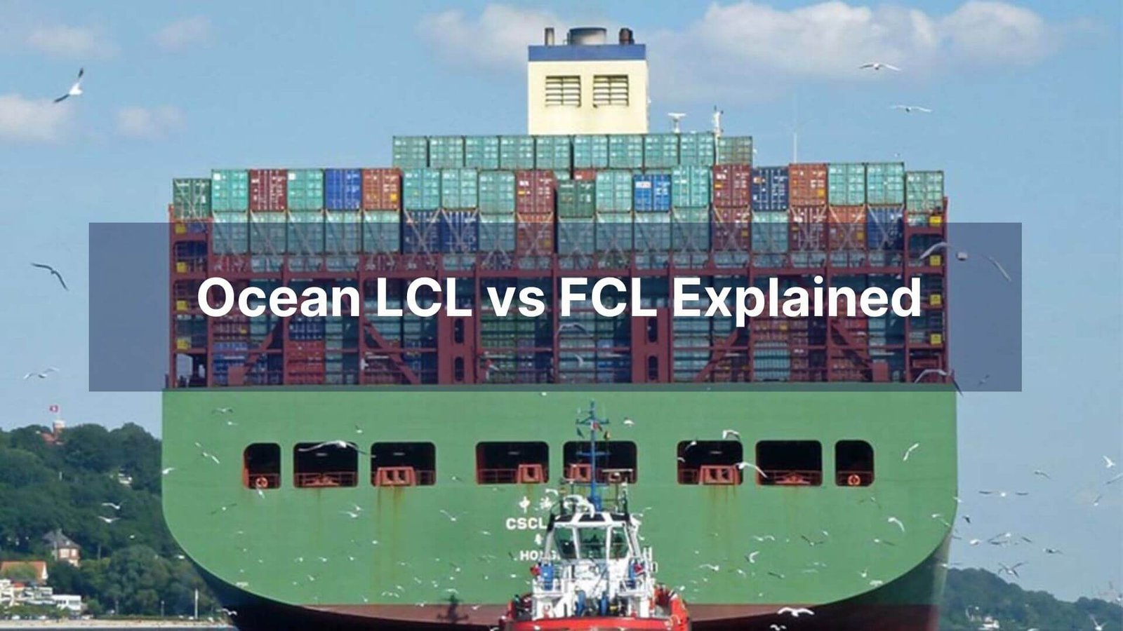 Ocean LCL vs FCL Explained