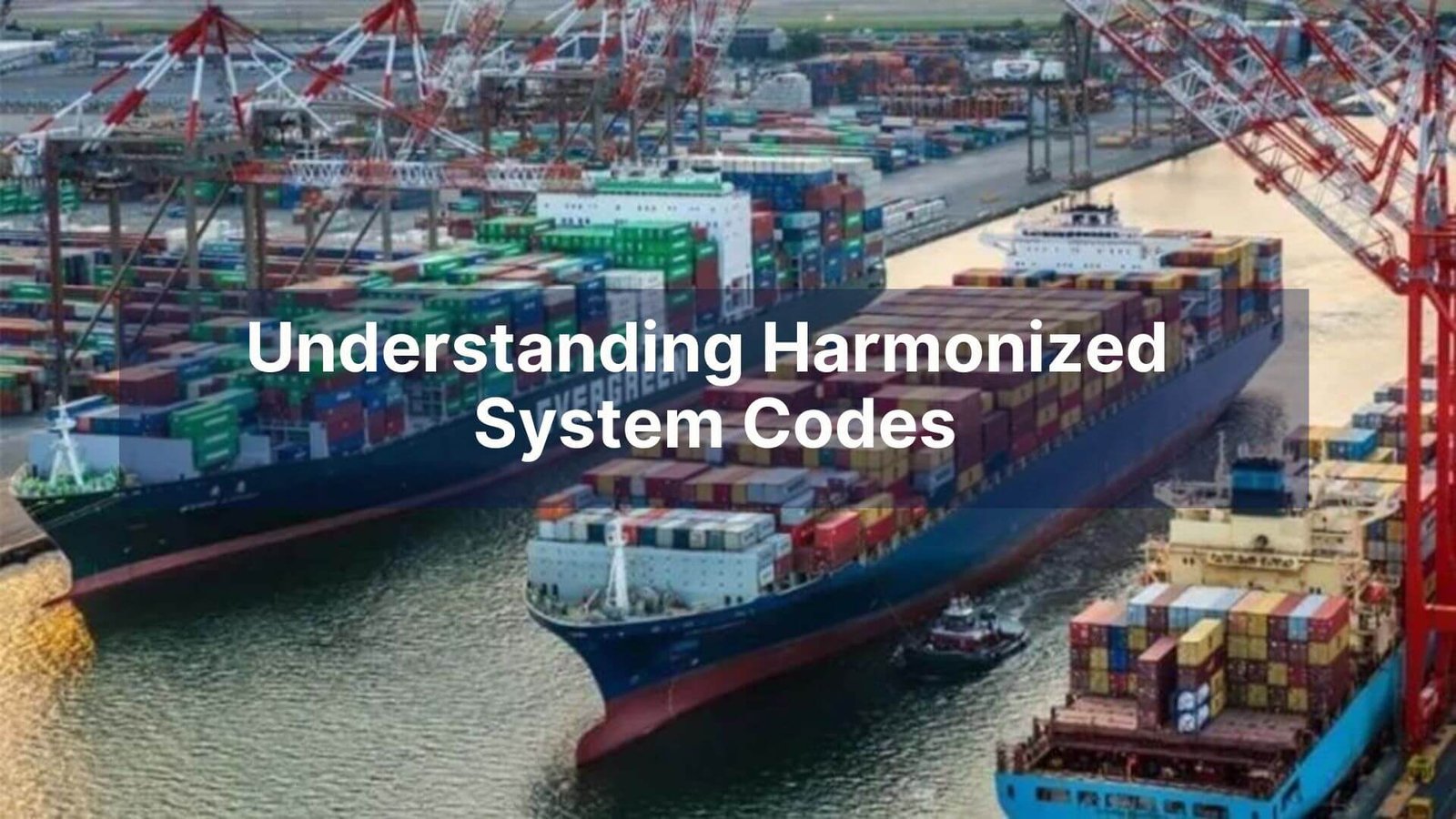 Understanding Harmonized System Codes