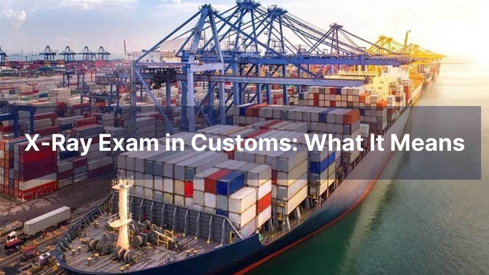 X-Ray Exam in Customs What It Means