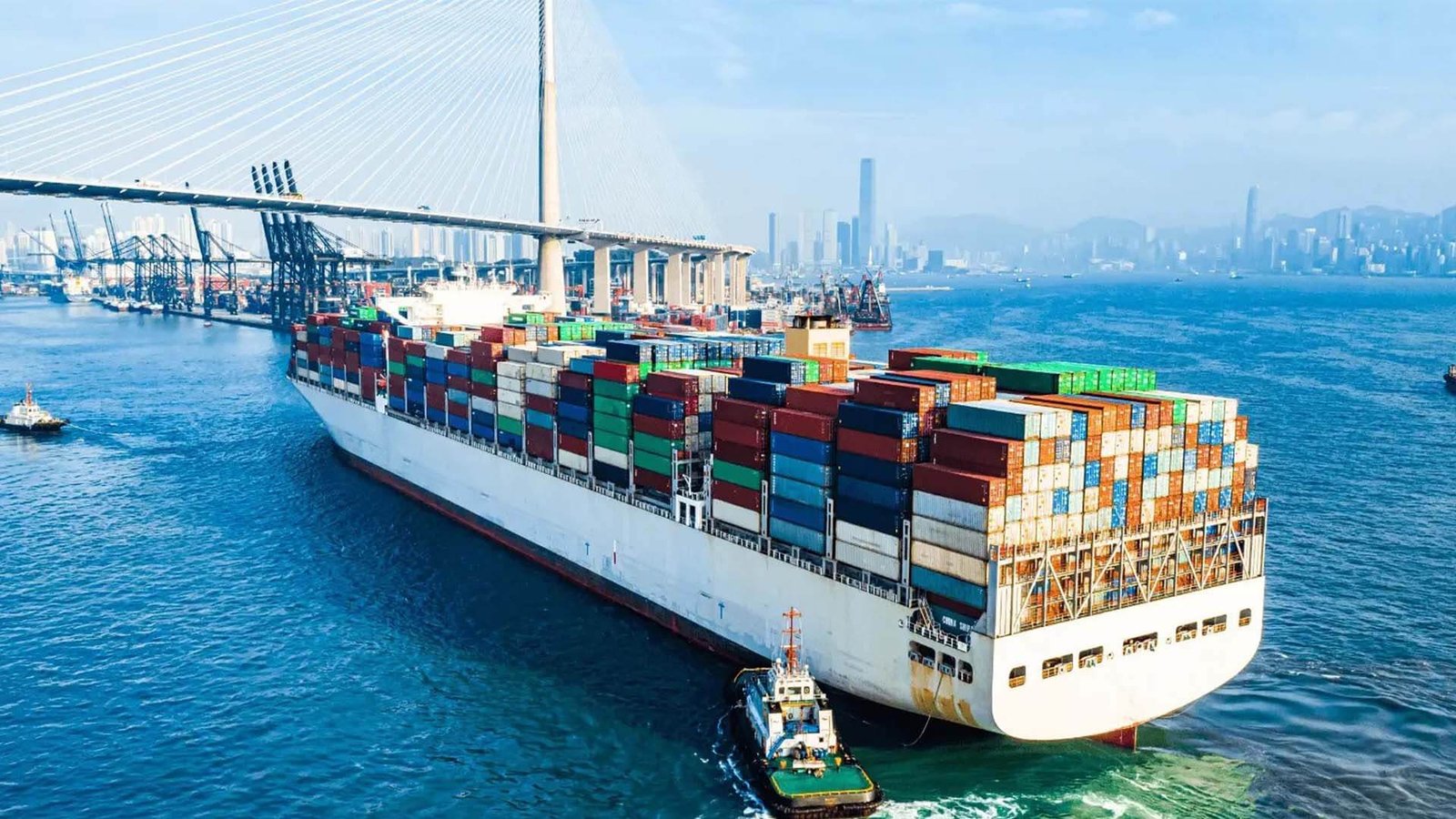 China to USA DDP Container Shipping
